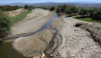 Büyük Menderes Nehri’nin kirliliği Meclis gündeminde