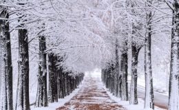 Meteoroloji açıkladı: 9 Ocak 2024 hava durumu raporu… Bugün hava nasıl olacak? İstanbul’a kar ne zaman yağacak?