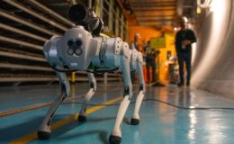 CERN’deki zorlu koşullara uyum sağlayacak ‘robot köpek’