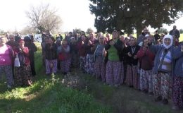 Alamut köylüleri harekete geçti: ‘Sonuna kadar mücadele edeceğiz’